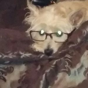 Meet your Posher, Eddie